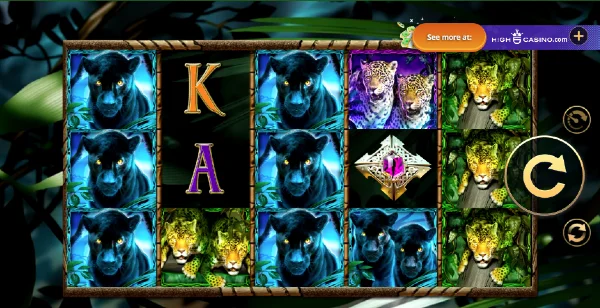 Shadow of the Panther slot by High 5 Gaming