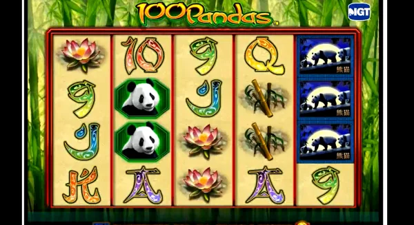 100 pandas slot gameplay